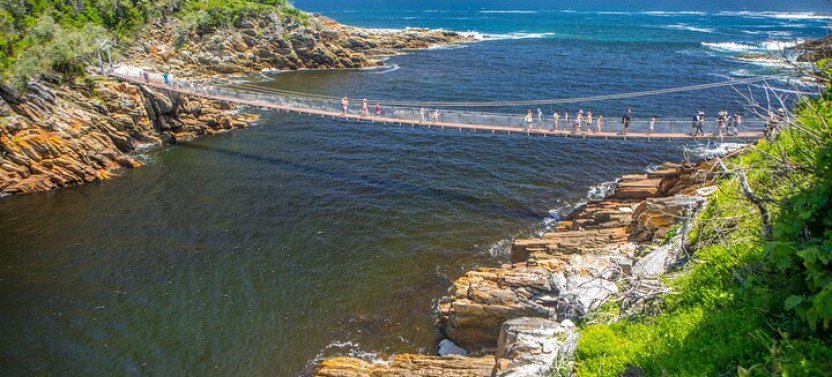 4 Days: Private 'Discover The Garden Route' Trip
