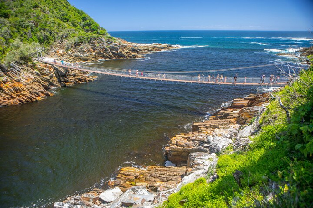 4 Days: Private 'Discover The Garden Route' Trip