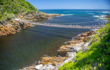4 Days: Private 'Discover The Garden Route' Trip