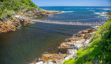 A picture of 4 Days: Private 'Discover The Garden Route' Trip