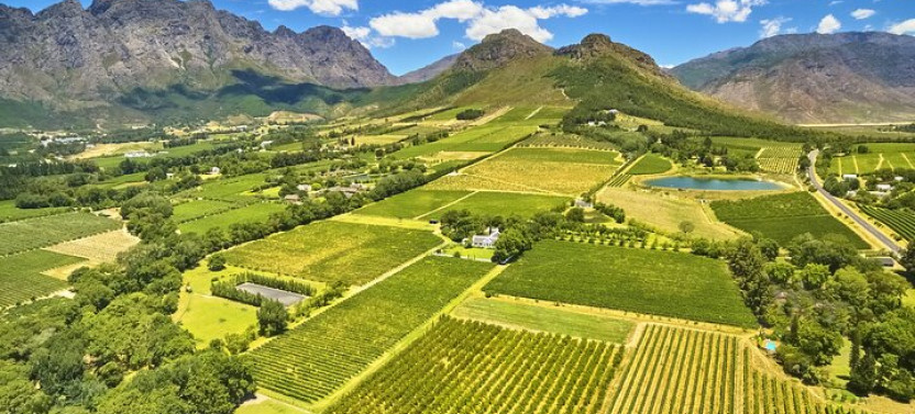 Private: Hot Air Balloon & Wine Tasting Tour
