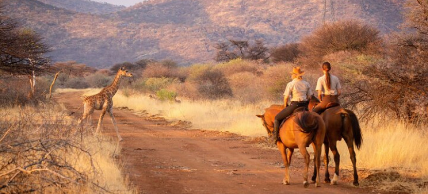 Private: Horseback Safari & Wine Tasting Tour