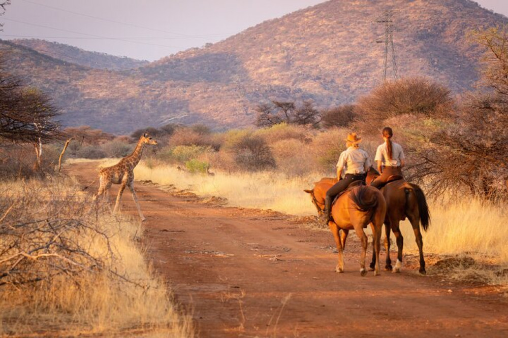 Private: Horseback Safari & Wine Tasting Tour