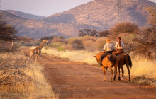 Cape Archives Tours and Safaris1