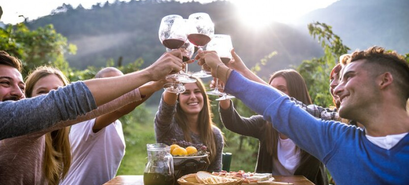 Private: Horseback Safari & Wine Tasting Tour