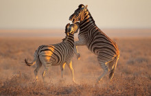 Cape Archives Tours and Safaris4