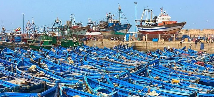 From Marrakech To Essaouira Mogador Full Day Trip | Small-Group