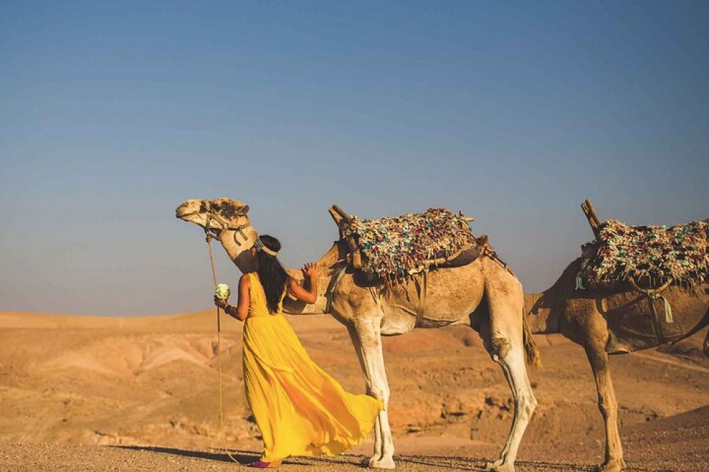 Morocco Lifetime Tours