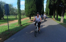 Bicycle Roma7