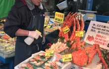 A Tour Through Tokyo's Kitchen incl the Famous Fish Market