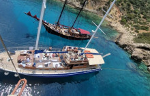 All Day Cruise1