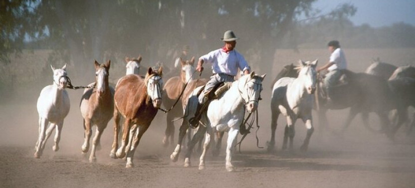 Full Day Fiesta Gaucha with BBQ Lunch From Buenos Aires