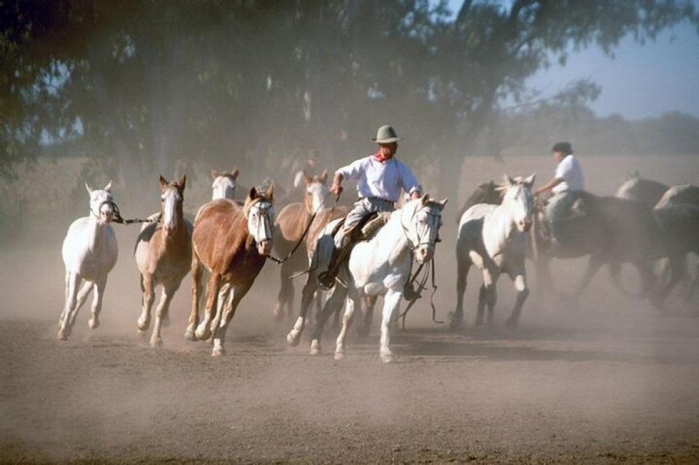 Full Day Fiesta Gaucha with BBQ Lunch From Buenos Aires