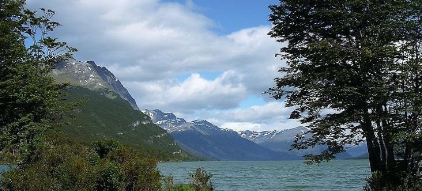 Tierra del Fuego National Park at the End of World 4-Hour Tour - Ushuaia