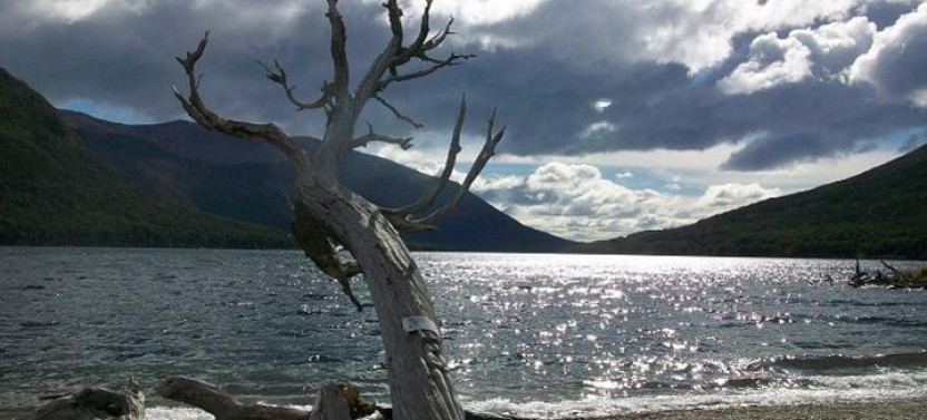 7-Hour Lakes Escondido & Fagnano From Ushuaia