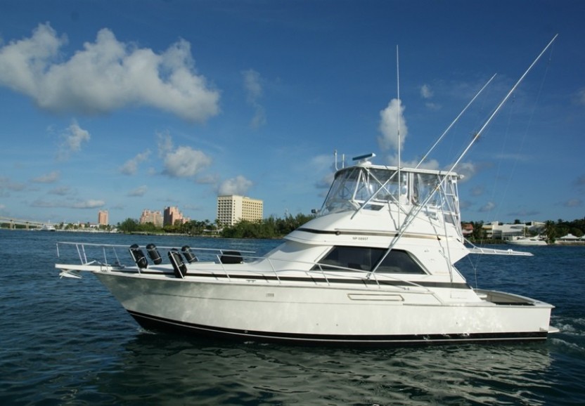 Explore and Relax Private 4 Hour Charter - 43' Strike Again