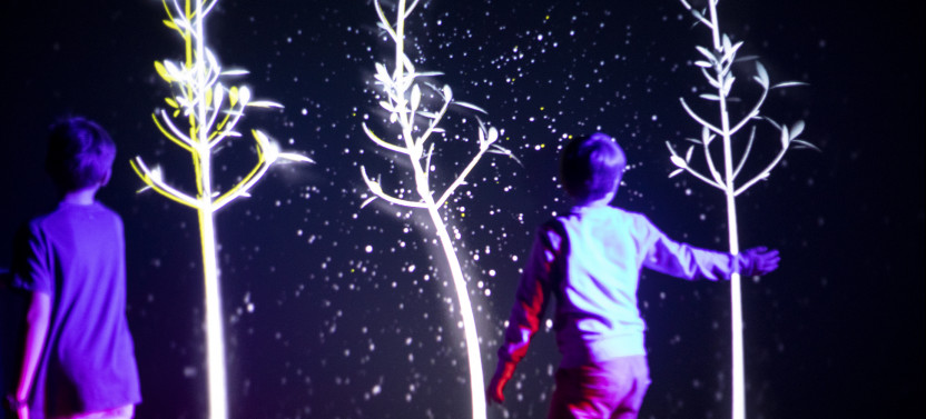 Prague Lumia Light Show with Gallery Ticket