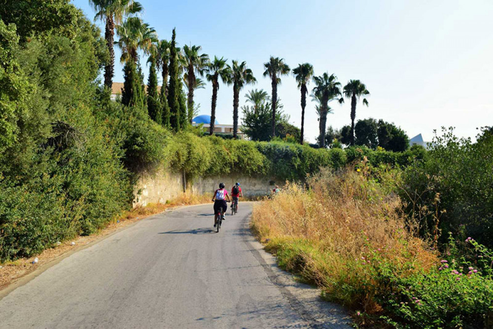 Rhodes to Kallithea Springs Ebike & Snorkeling Tour Rodos (Rhodes