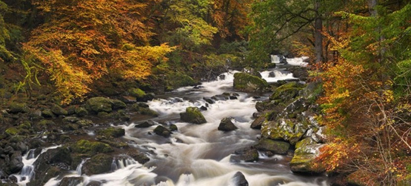 Highland Lochs, Glens & Whisky from Edinburgh