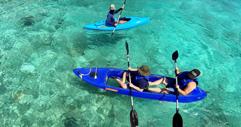 Dolphin Kayak Experience