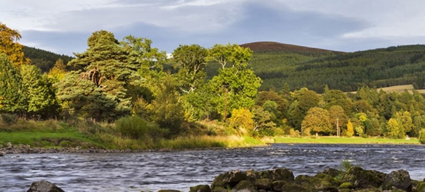 Cairngorms National Park & Speyside Whisky from Inverness