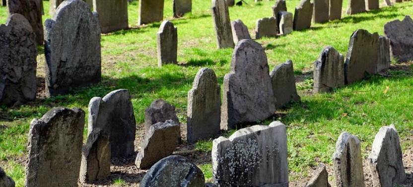 Boston: Freedom Trail History Small Group Walking Tour