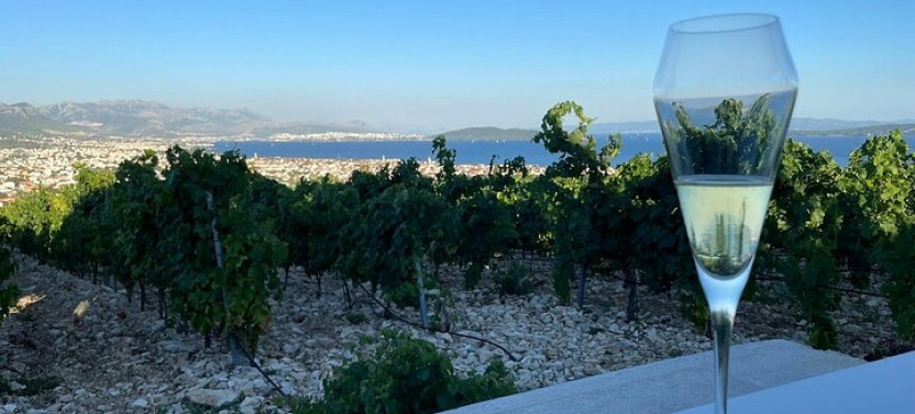 Private Split & Trogir: Wine Tasting & Vineyard with Sea View