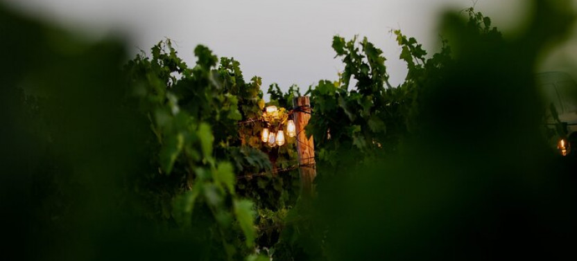 VIP Private Tour of Split/Trogir with Chef-Prepared Meal and Wine