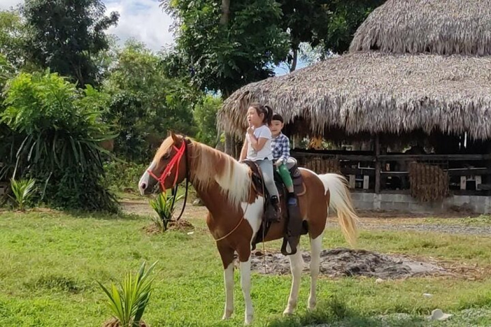 Horseback Riding Tour near Santo Domingo