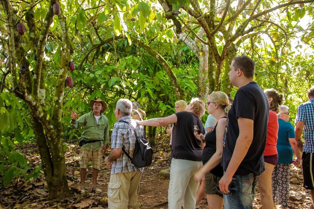 Amber Route & Yanigua Tour from Santo Domingo