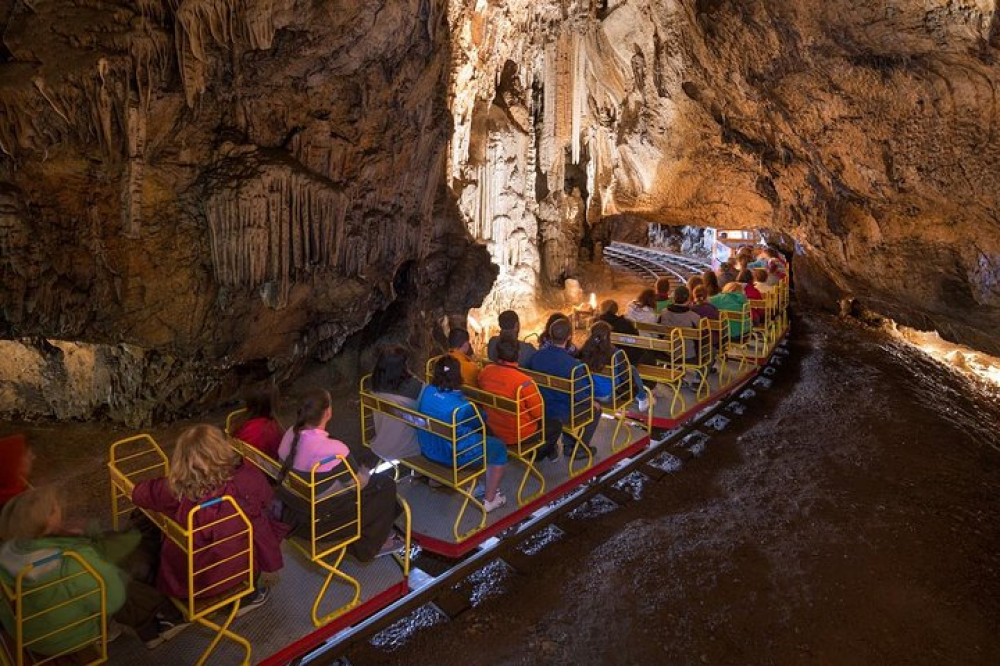 Petros Tour Operator & DMC