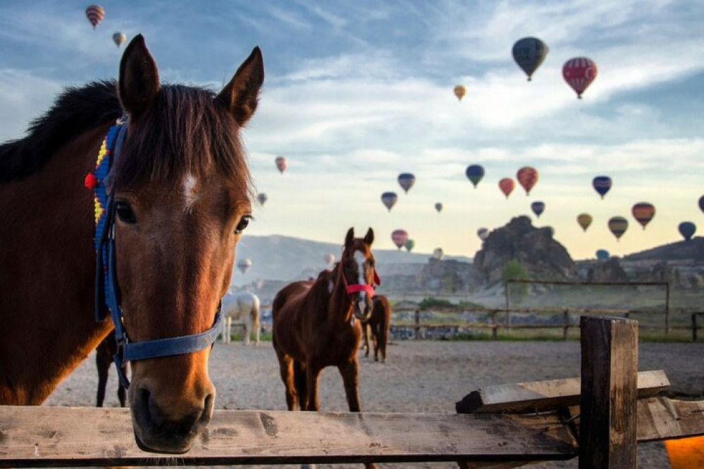 Bien Cappadocia Travel