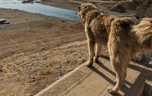 Bien Cappadocia Travel3