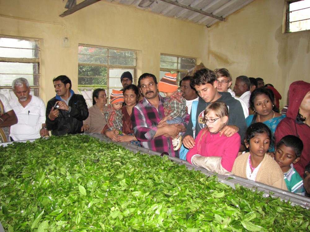 Tea Museum Munnar Sights Attractions Project Expedition Tea Museum Munnar Sights Attractions Project Expedition