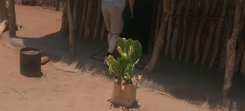 The Mukuni Cultural Village Tour