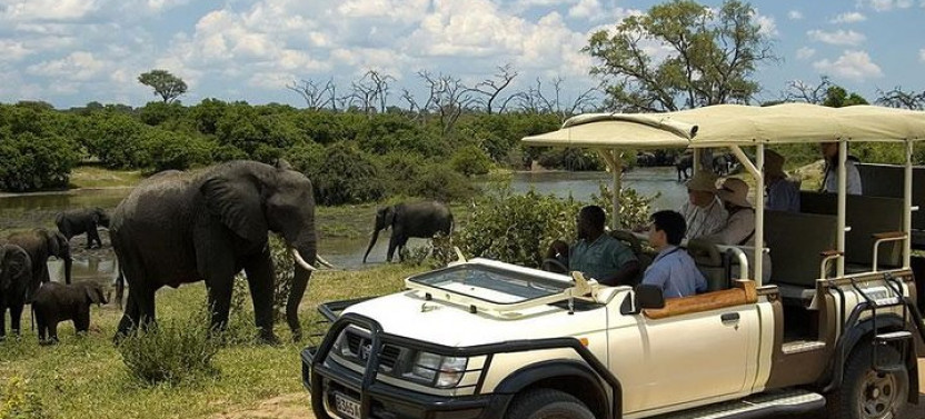 Chobe Day Trip