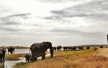 Arnolubi Safaris & Tours3