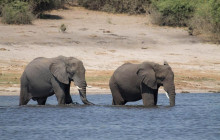 Arnolubi Safaris & Tours9