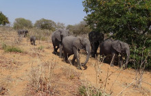 Arnolubi Safaris & Tours24