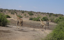 Arnolubi Safaris & Tours28