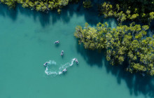 Whitsunday Jetski Tours7