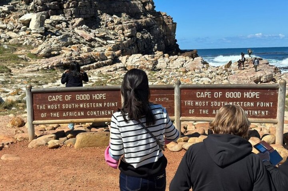 Cape Peninsula and Boulders Beach Private Tour