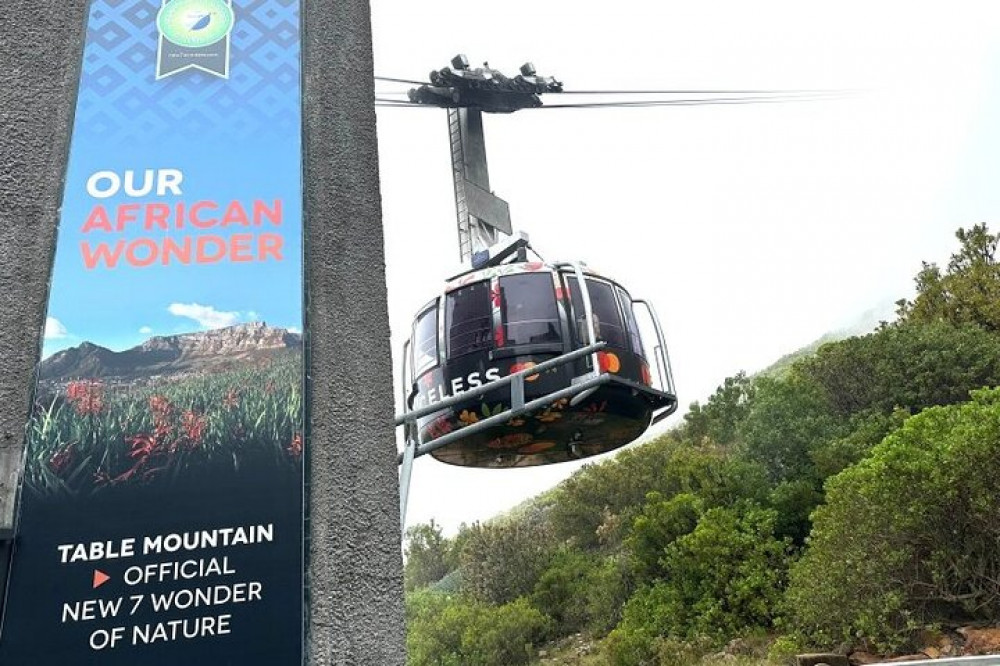 Table Mountain, Boulder's Beach, and Cape Point Private Tour