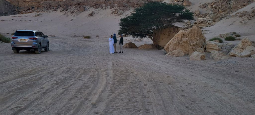 Morning Luxury Dry Canyon ''Wadi Belli'' from El Gouna & Hurghada