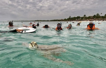 Tulum Adventure1