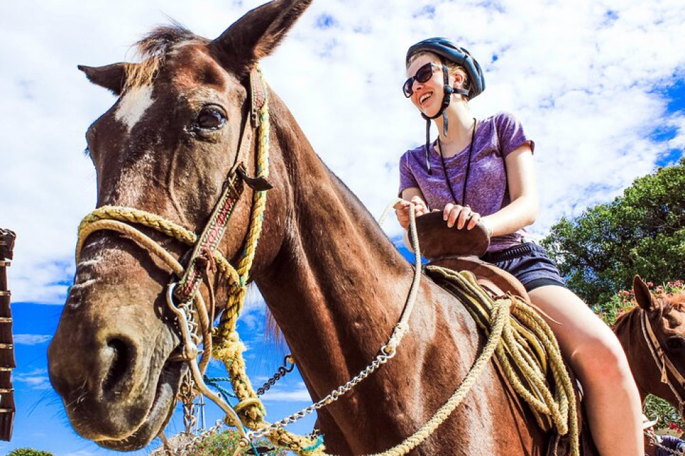 Tulum Horseback Riding Tour with Lunch