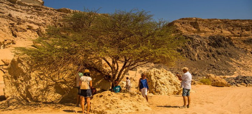 Sunset Luxury Oasis Desert Experience From El Gouna and Hurghada