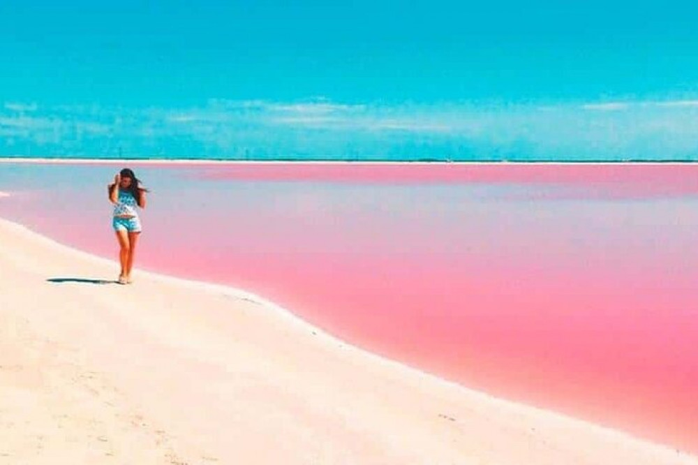 The Flamingos Experience, Ria Lagartos & Las Coloradas