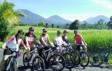 Green Bikes Bali1