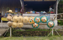 Green Bikes Bali10